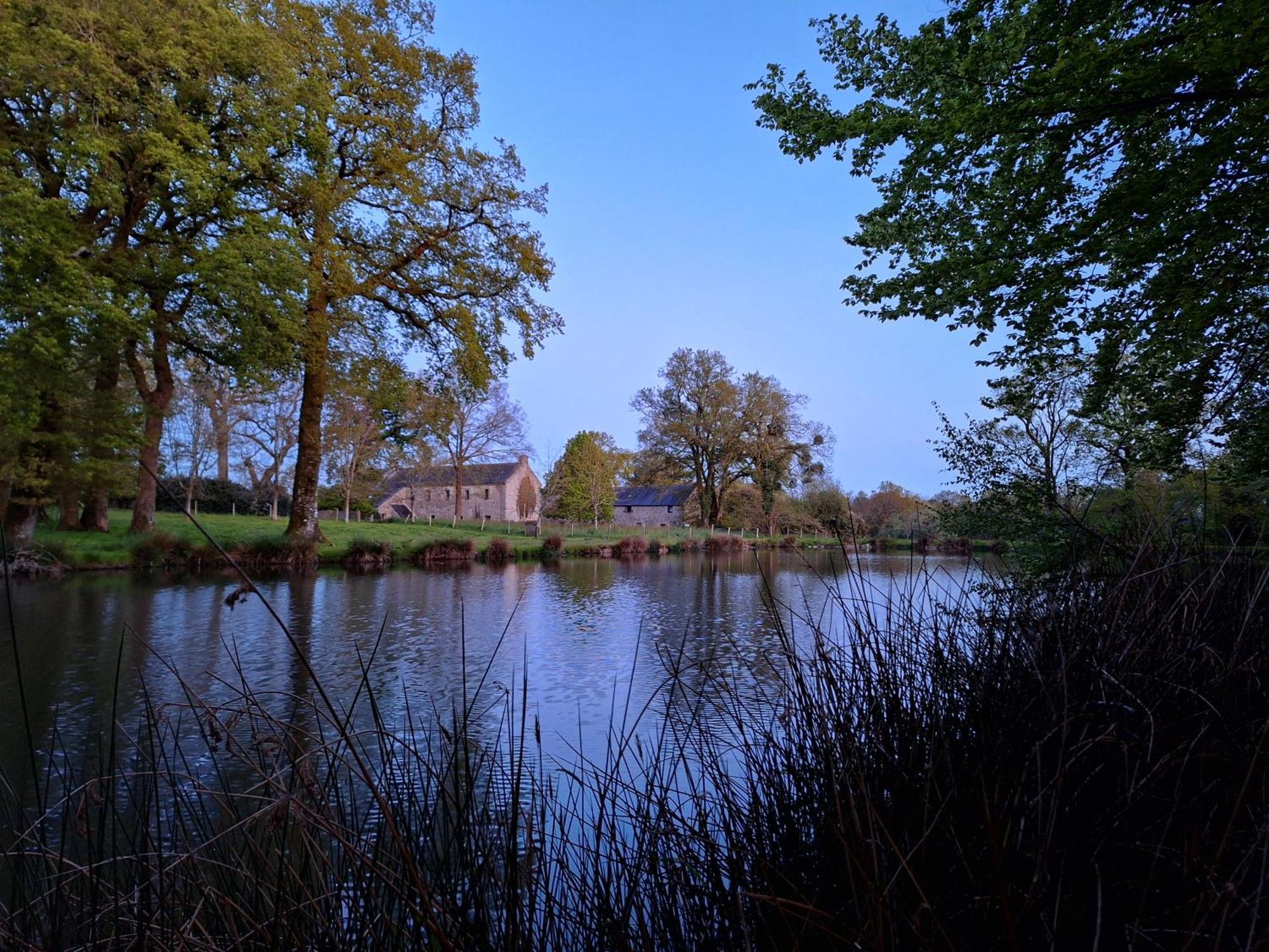 Domaine De Bobehec - Gite De Groupe, Chambres & Salle - 23 Personnes - Morbihan Proche Vannes Et Plages La Vraie-Croix Экстерьер фото